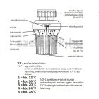 OVENTROP "Uni XD" termofej, távérzékelős kivitel, Danfoss "klapp" körmös csatlakozóval, fehér (1011575)