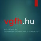 vgfh.hu domain